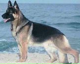 Діма Нікітін фотография #29 (источник - https://vk.com/id38752740)