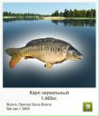 Сергій Коржан фотография #25 (источник - https://vk.com/id110134918)