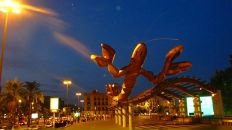 Sofia Vasheruk фотография #25 (источник - https://vk.com/id1475411)