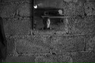 Фотография Кнутова Ярослава