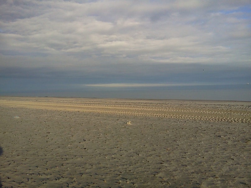 Николай Ермаков фотография #28