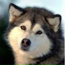 Володимир Михійко фотография #6 (источник - https://vk.com/id56558772)