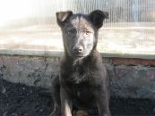 Федя Поліщук фотография #10 (источник - https://vk.com/id31105437)