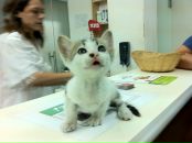 Ольга Приходько фотография #12 (источник - https://vk.com/id474264)