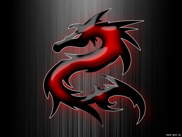 №11, Айтал Максимов №11, Айтал Максимов