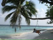 Фотография Живайкиной Светланы