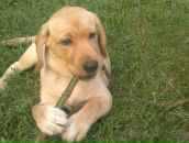 Фотография Феоктистова Александра