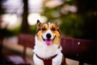 Фотография Акжигитова Артёма