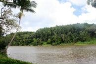 Дмитрий Венгерцев фотография #15 (источник - https://vk.com/id181221)