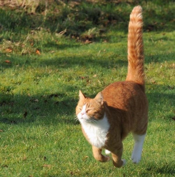 Юля Бугера фотография #3