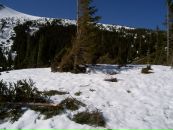 Любомир Ізмайлов фотография #1