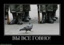 Саша Кузнєцов фотография #19 (источник - https://vk.com/id226505109)