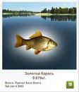 Андрій Вінярський фотография #3 (источник - https://vk.com/id160449728)