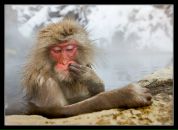 Фотография Лещева Валентина