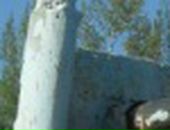 Сергій Мушка фотография #37 (источник - https://vk.com/id72071038)