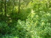 Иван Кузнецов фотография #21 (источник - https://vk.com/id98103)