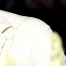 Ірина Тесля фотография #9 (источник - https://vk.com/id144872839)