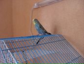 Фотография Петрученко Ольги