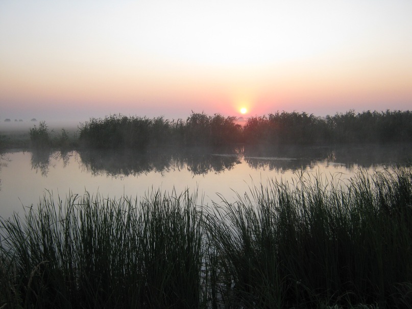 Александр Щепотьев фотография #16