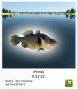 Савелій Бахтінов фотография #36 (источник - https://vk.com/id41655992)