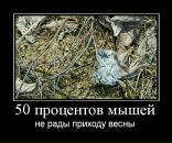 Фотография Минеева Александра