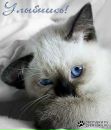Фотография Кошиной Нинульки