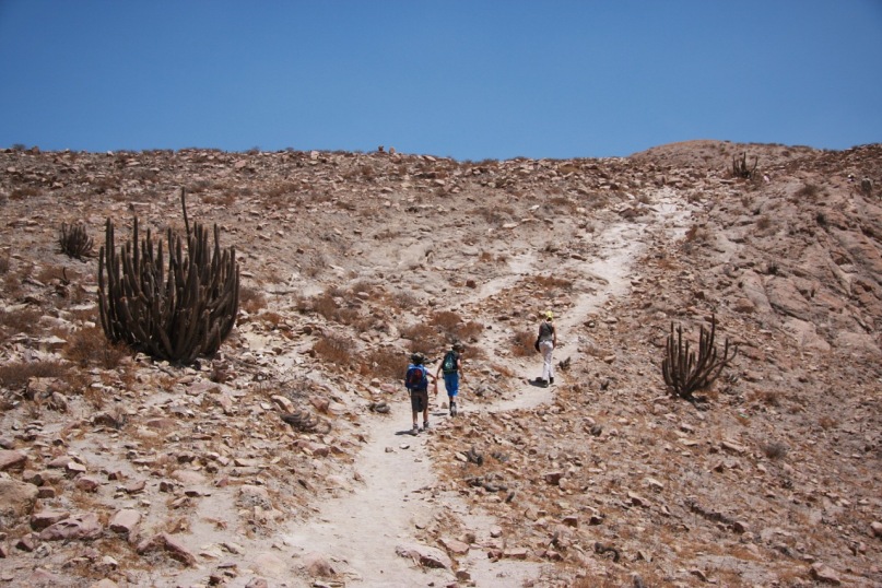 Timofeu$ Khvan фотография #1