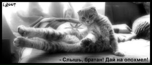 Євгеній Конотопенко фотография #48 (источник - https://vk.com/id70231724)