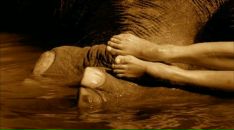 Фотография Магдич Юлии