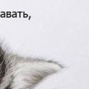 Діма Біжик фотография #25 (источник - https://vk.com/id141798699)