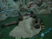 Фотография Исмагиловой Альбины