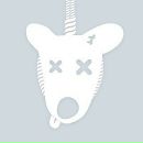 Фотография Соколова Антона