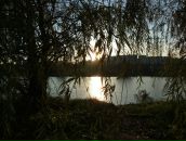 Рю Мураками фотография #11 (источник - https://vk.com/id2067589)