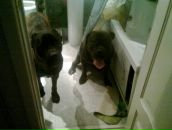 Фотография Банюка Ильи