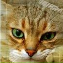 Фотография Масловой-Халай Екатерины