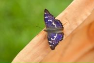 Фотография Марухиной Анастасии