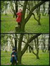 Фотография Кот Виолетты