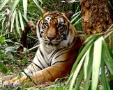 Фотография Лосевой Юлии