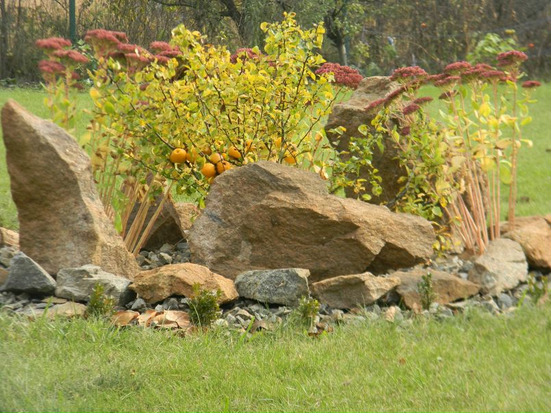  фото №50