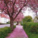 Фотография Удинской Марианны