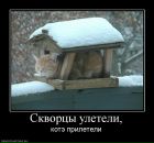Константин Байкеев фотография #8 (источник - https://vk.com/id1573755)