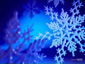 Фотография Шебаршиновой Любови