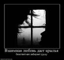 Настя Підгородня фотография #5 (источник - https://vk.com/id59033925)