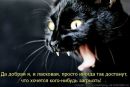 Настя Бєлоус фотография #30 (источник - https://vk.com/id164008973)