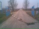 Вася Маліновський фотография #31 (источник - https://vk.com/id107502789)