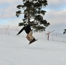 Фотография Gribenuk Alexey