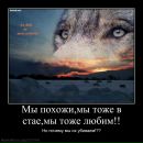 Сергій Кмець фотография #2 (источник - https://vk.com/id51666938)