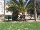 Лілія Бідочко фотография #26 (источник - https://vk.com/id170531851)