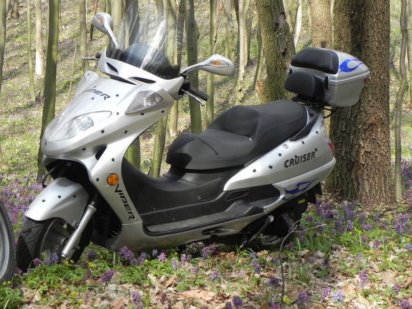 Дмитрий Вишняков фотография #32