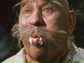 Софія Невойт фотография #46 (источник - https://vk.com/id24634004)